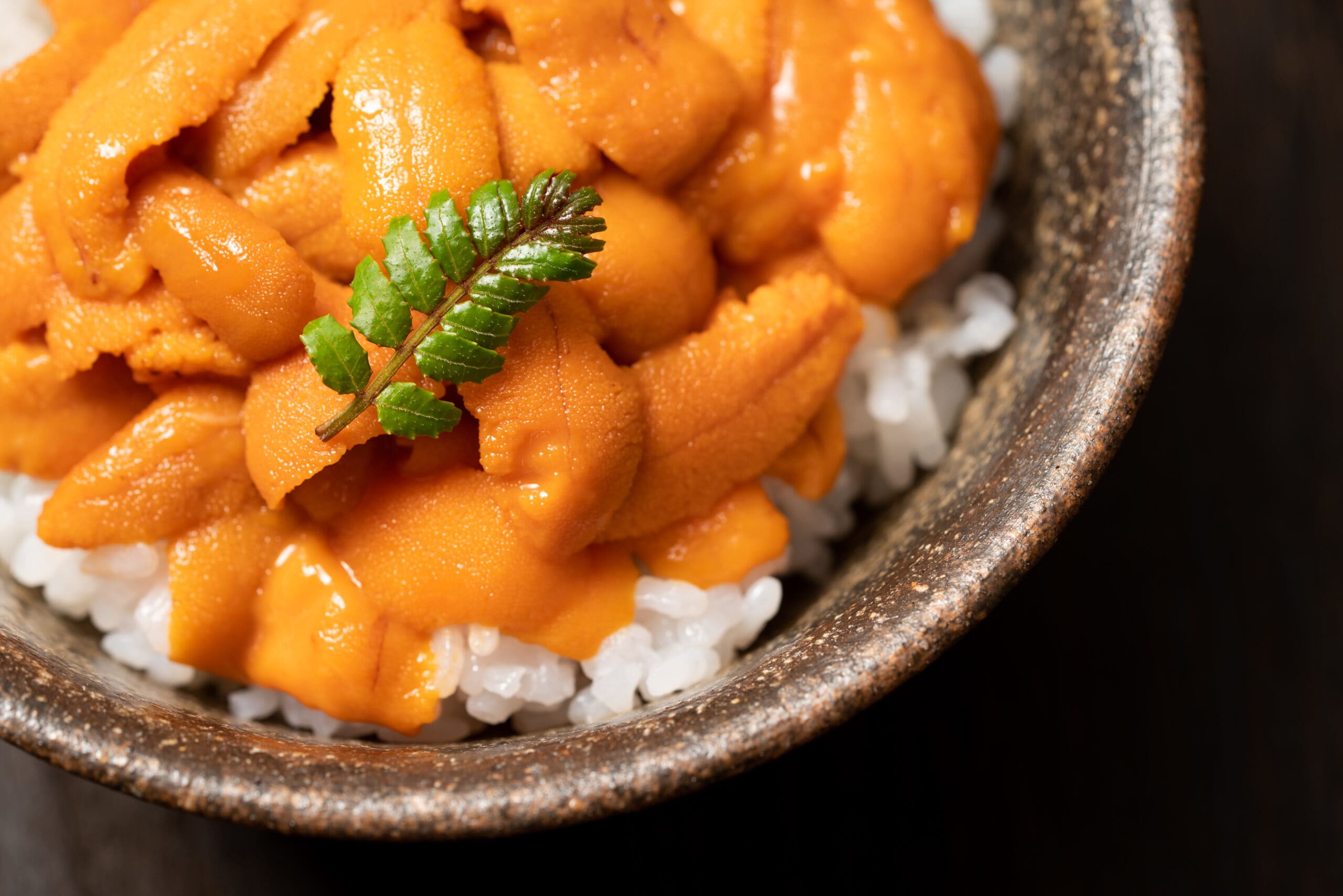 pixta_64147893_XL-scaled-compressed