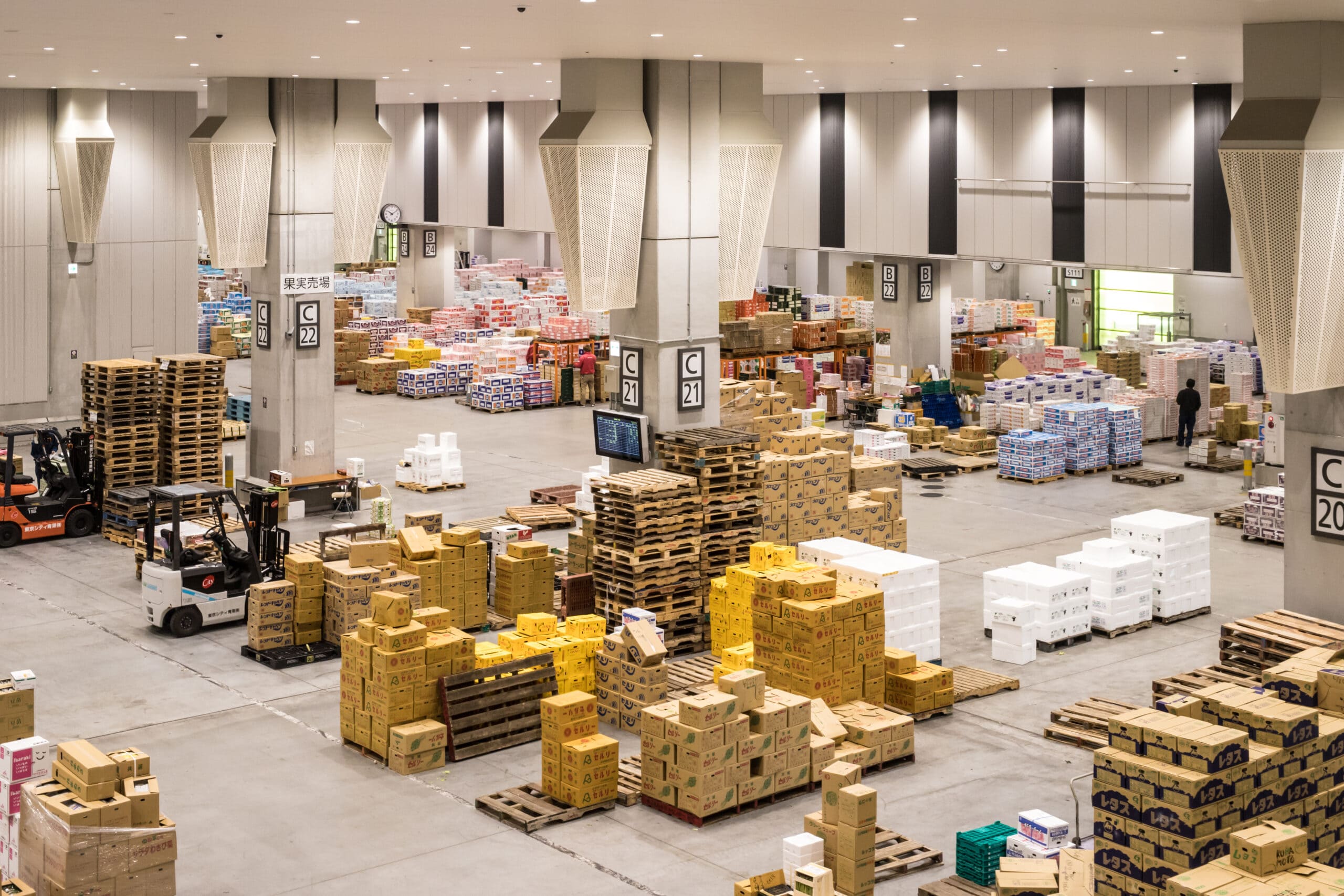 pixta_48073781_XL-scaled-compressed