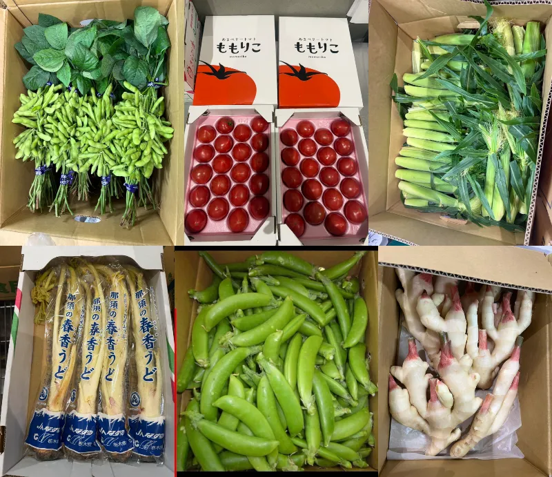 野菜シリーズ